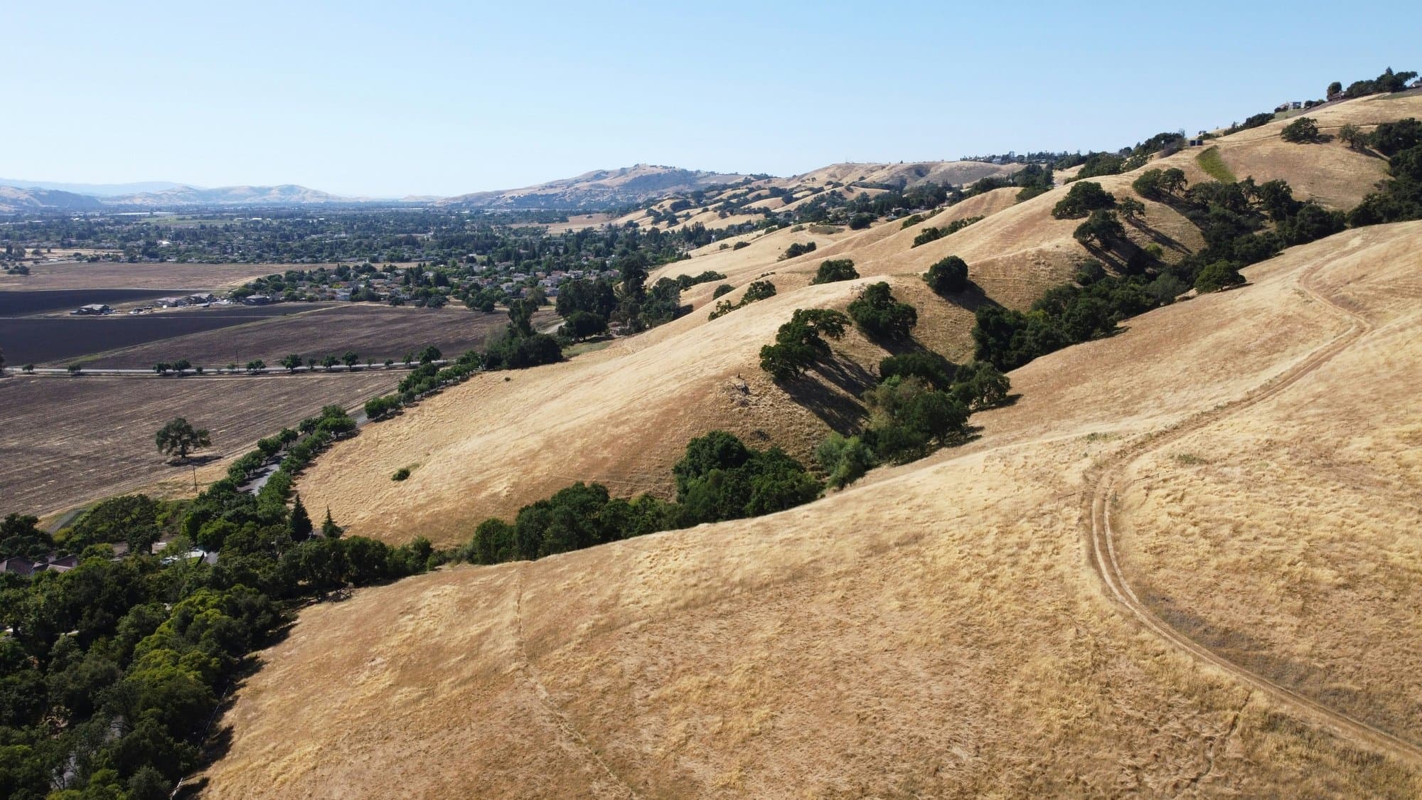 Golden rolling hills with scattered oaks above Morgan Hill